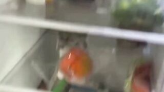 Amateur Teen POV Deepthroat Swallows Cum In Bedroom