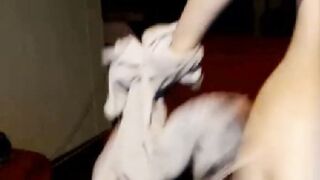 Amateur Lactating Webcam Show With Sensitive Nipples