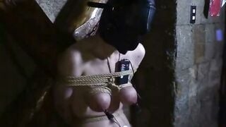 ACZD-158 2被虐の麗奴 仏壇蝋燭責め 有馬早智子