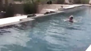 Seen Milf Into A Bikini By The Pool five