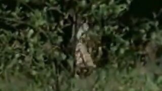 Danish Lesbian Fingering Field Trip