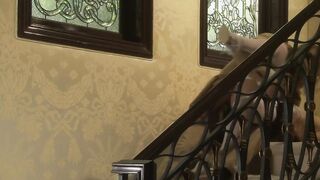 House-fiance pinned on the wall for a hard doggy style nailing