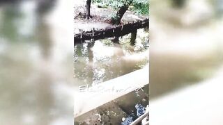 Flashing into outdoor, city park, no lingerie. ElsaRixterXXX