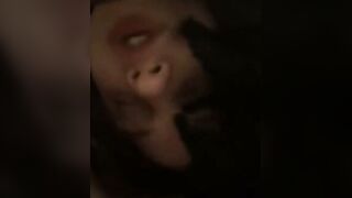 Cuckold Interracial Hardcore For Slutwife Ecstasy