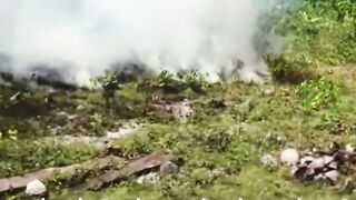 Investigation with Fires inside Siberia 81
