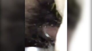 Hairy Asian Pussy Close-Up Amateur Sex Video