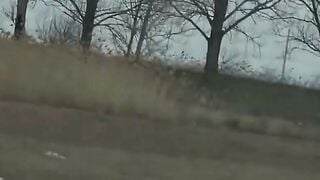 The stranger was watching us. This is very bad for a lover 31
