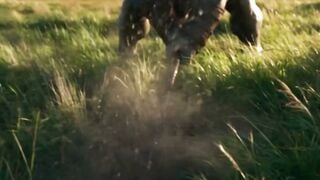Gladiator orgin story