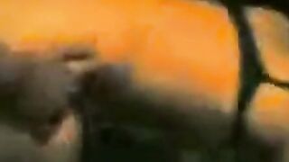 Desi Indian Aunty Fucks Young Neighbor Cock