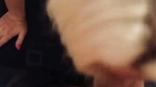 Amateur Sucks Cock & Takes Cumshot on Tight Latex Leggings