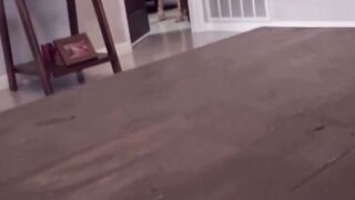 Amateur Stepmom Deepthroats Stepson & Swallows Cum In Hardcore Swap