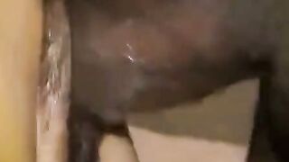 Hairy Asian Housewife Sucks Big Black Cock