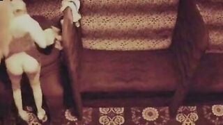 Amateur Strippers Lapdance Guys in Boxers on Couch