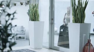 Andi Avalon Deepthroats Big Cock During Tailor Fitting