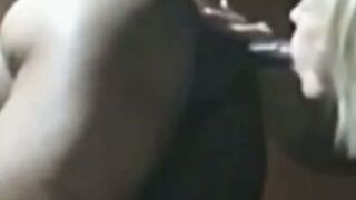 Amateur American Sucks Big Thai Cock On Webcam