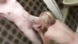Amateur Couple Hardcore Shower Fuck Webcam Video