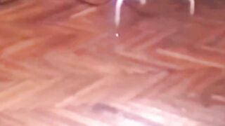 Amateur Black Woman in Sheer Nylons Deepthroats Cock and Swallows Cum