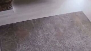 Amateur MILF Deepthroats Stiefsohn Cock & Swallows Cum POV