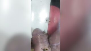 Bizarre Wasp CBT Insertion Fetish