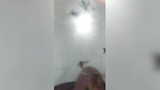 Bizarre Wasp CBT Insertion Fetish