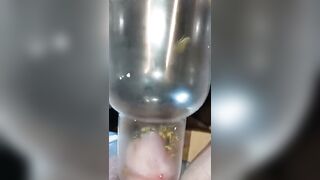 Bizarre Wasp CBT Insertion Fetish