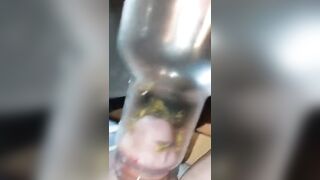 Bizarre Wasp CBT Insertion Fetish