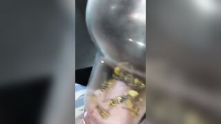 Bizarre Wasp CBT Insertion Fetish