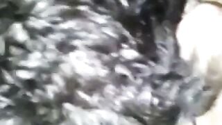 Danish BBW Amateur Sucks Cock And Takes Cumshot