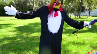 Cat Inside The Hat New Video Trailer