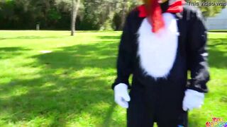 Cat Inside The Hat New Video Trailer
