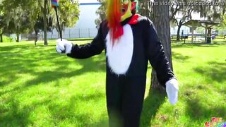 Cat Inside The Hat New Video Trailer
