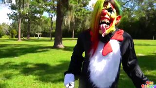 Cat Inside The Hat New Video Trailer