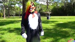 Cat Inside The Hat New Video Trailer