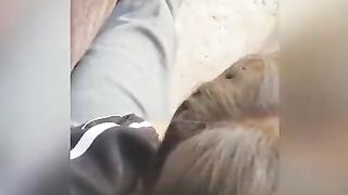 Outdoors Blow job! goddess School Girl Women Blows Penis into the College! LONG BUTT VOL two