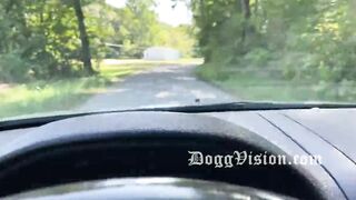 Home Delivery Cumshot Gone Wrong