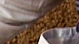 Brunette’s Parents are not there, 19 year old Natalia fucks Vladimir