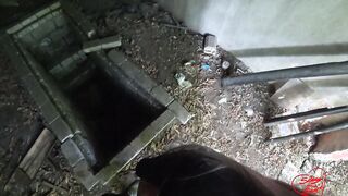 Gangster-women Blows Penis and Eats Cum Public - SOboyandSOgirl