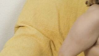 Curvy Dasy bei der Dildoberatung