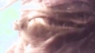 Cutie Bae getting a deep penetrating screwed from a long dick