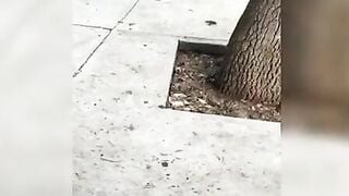 Sex for CASH! Hispanic Women Offer Cash to Man for SEX inside OUTDOOR! VOL #1 (Follow me on YouTube) Sophia Bellee