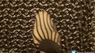 Mexican Tessa Dominatrix give an irresistible toes performance