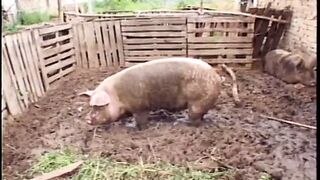Big boobies red fellatio cunt with mouth gets cum after Hottie screwed outside