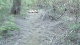 Bizzarre Adventure