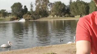 three Nasty Pigs!!!