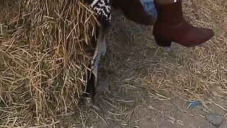 Cowgirls nailed stud female domination scenes