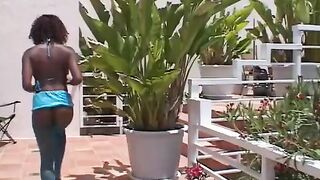 HUGE AFRICAN BAMBOO from AFRICA!!! - VOL. 02